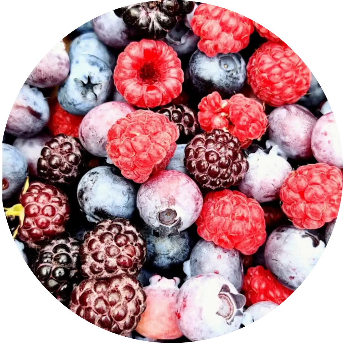 Beeren – verrückt nach den kleinen Leckereien