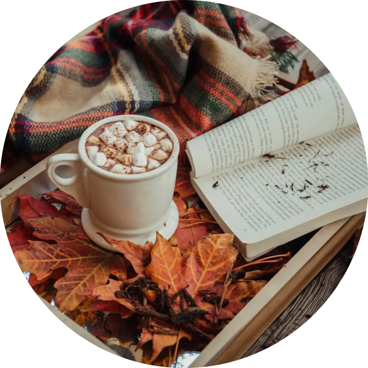 Cozy Autumn Vibes