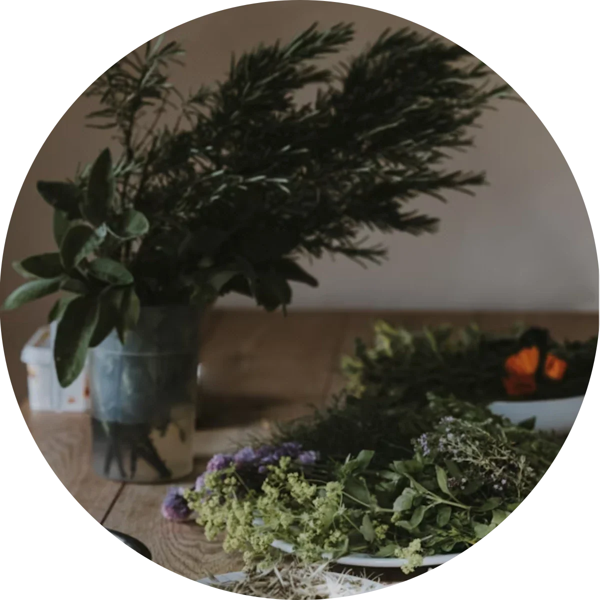 Smell your Herbs