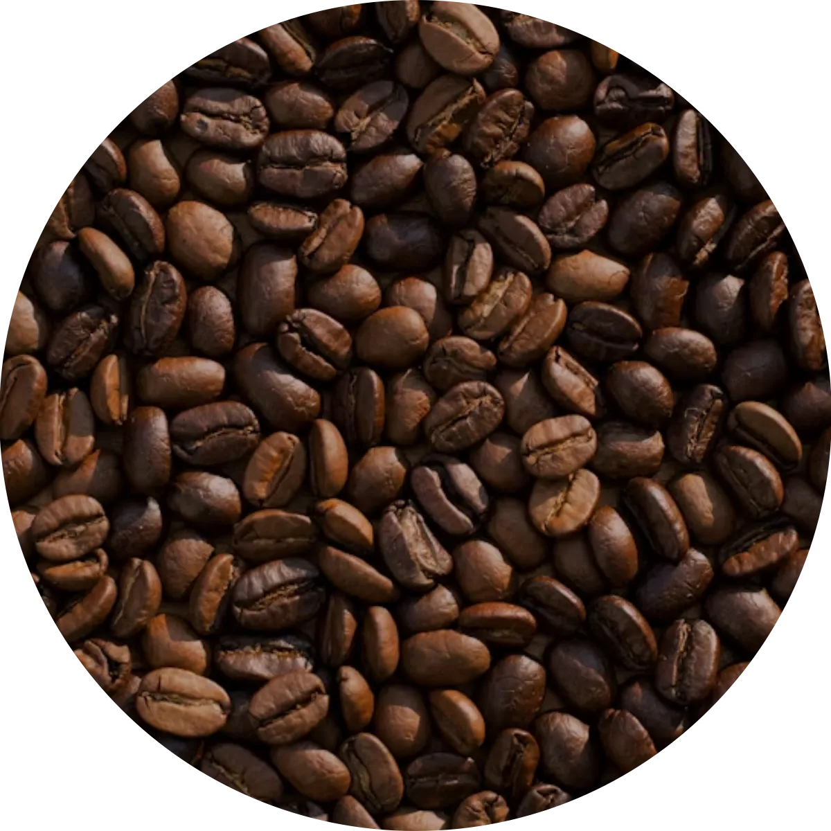 Kaffee – der wohlschmeckende Energieschub