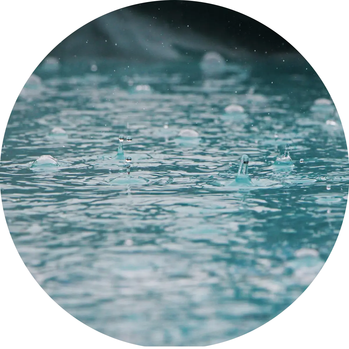 Singing in the rain