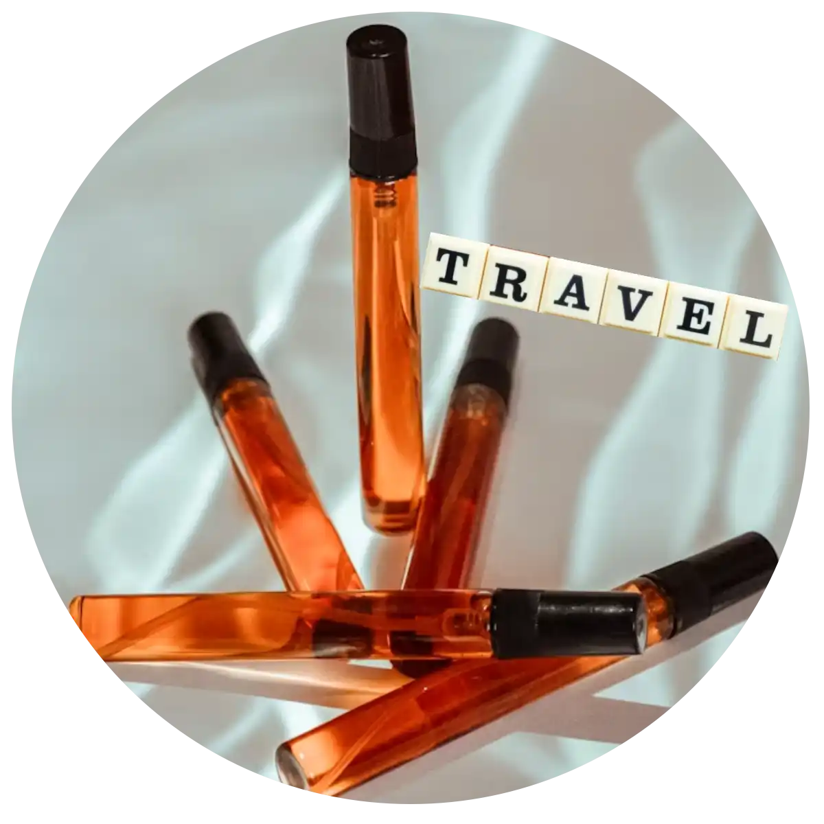 Travel Companions