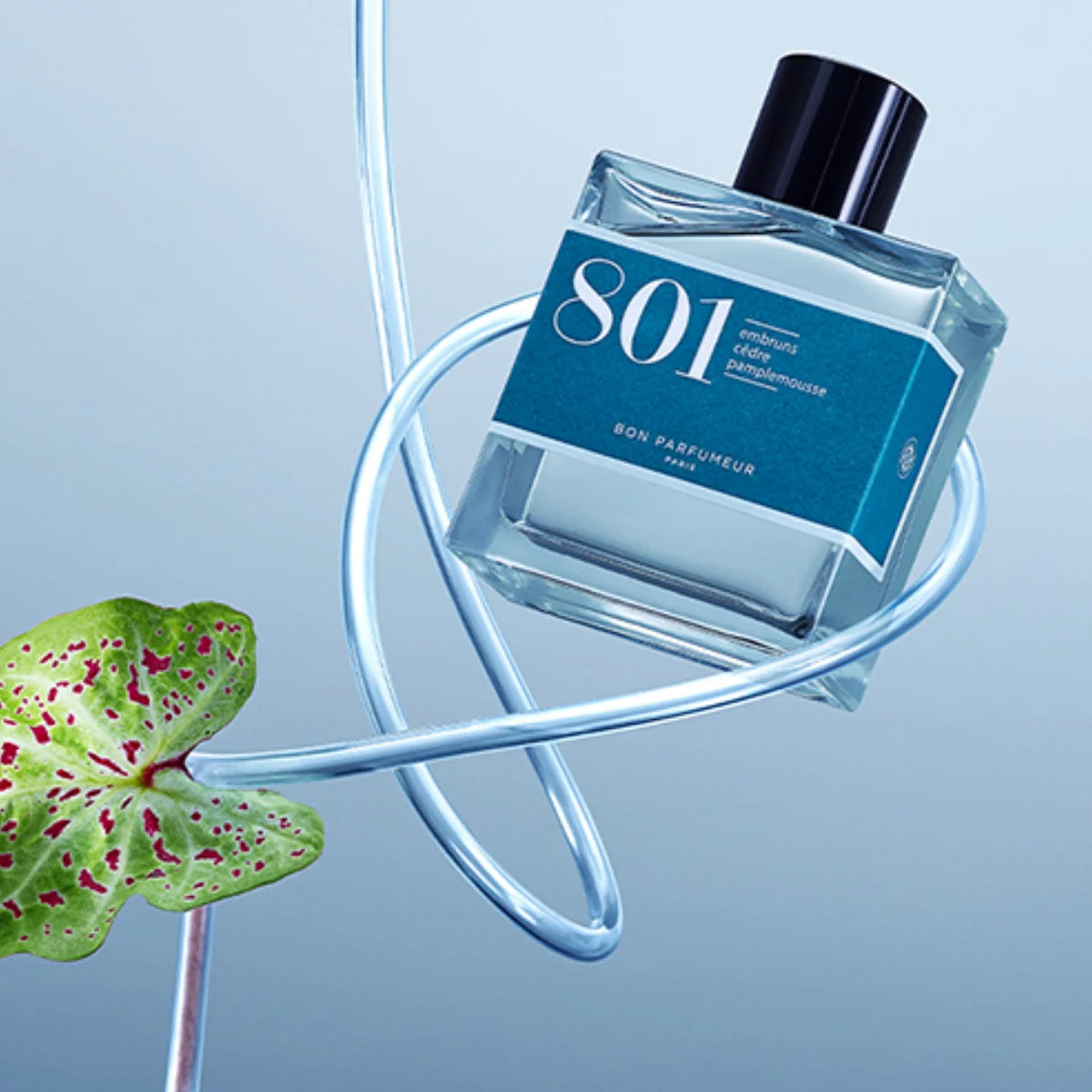 Bon Parfumeur - Les Classiques - 801 Parfumflakon mit klarem Glas und blauem Etikett vor hellblauem Hintergrund