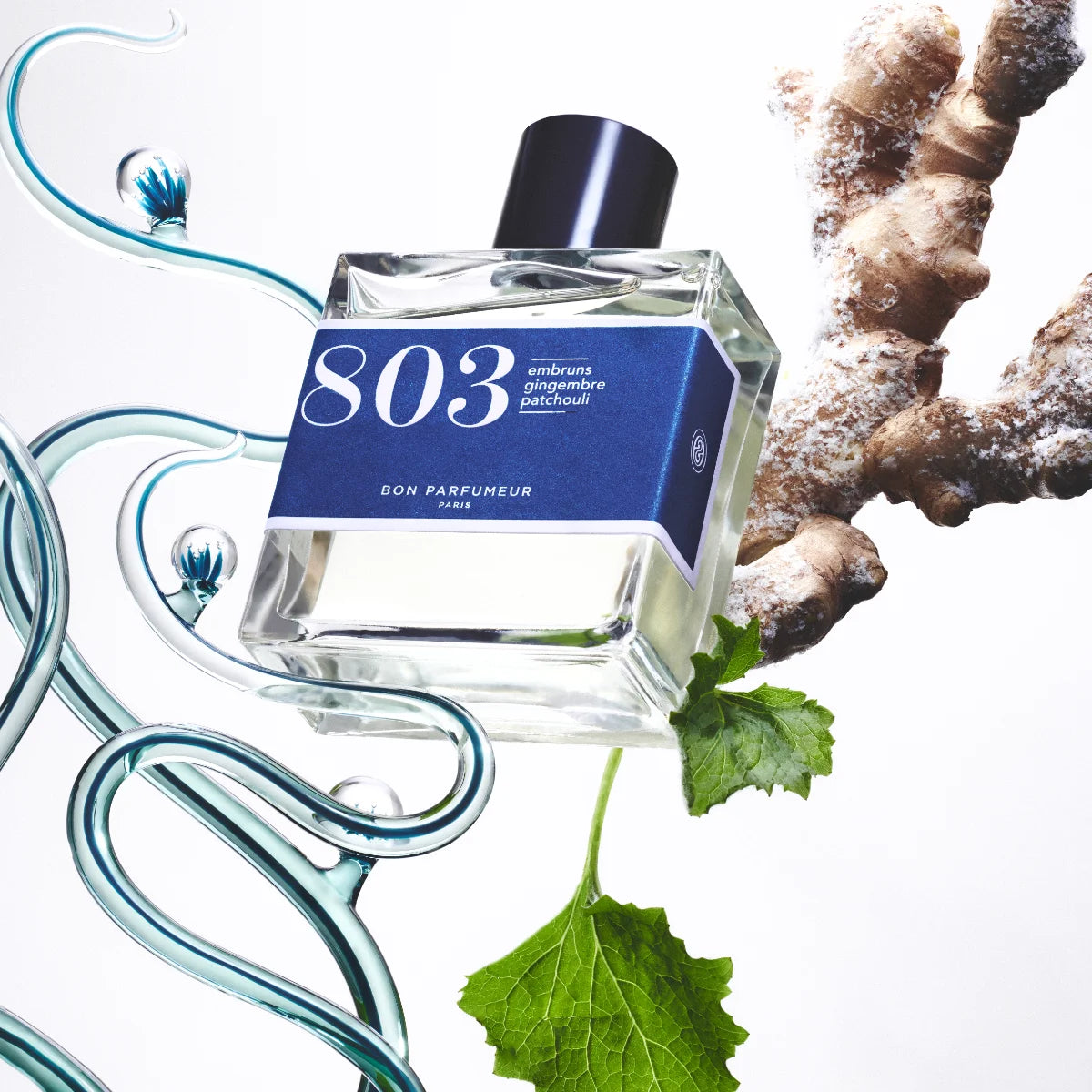 Bon Parfumeur - Les Classiques - 803 zeigt klaren Flakon mit blauem Etikett und schwarzem Verschluss, umgeben von Ingwer und Blatt