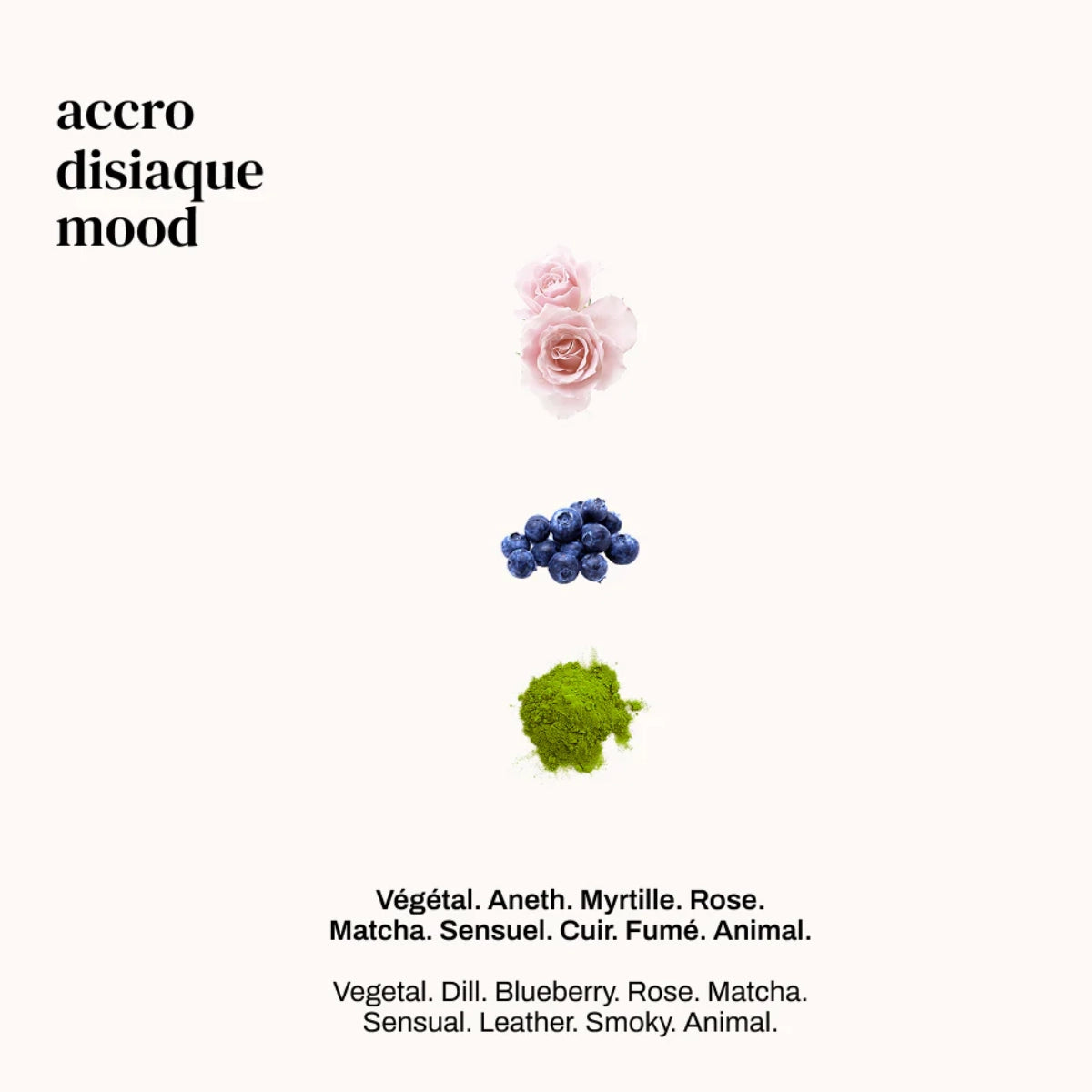 Versatile - Accro Disiaque mit Rosenblüte, Blaubeeren und Matcha-Pulver als Duftnoten-Komposition auf hellem Hintergrund