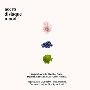 Versatile - Accro Disiaque mit Rosenblüte, Blaubeeren und Matcha-Pulver als Duftnoten-Komposition auf hellem Hintergrund