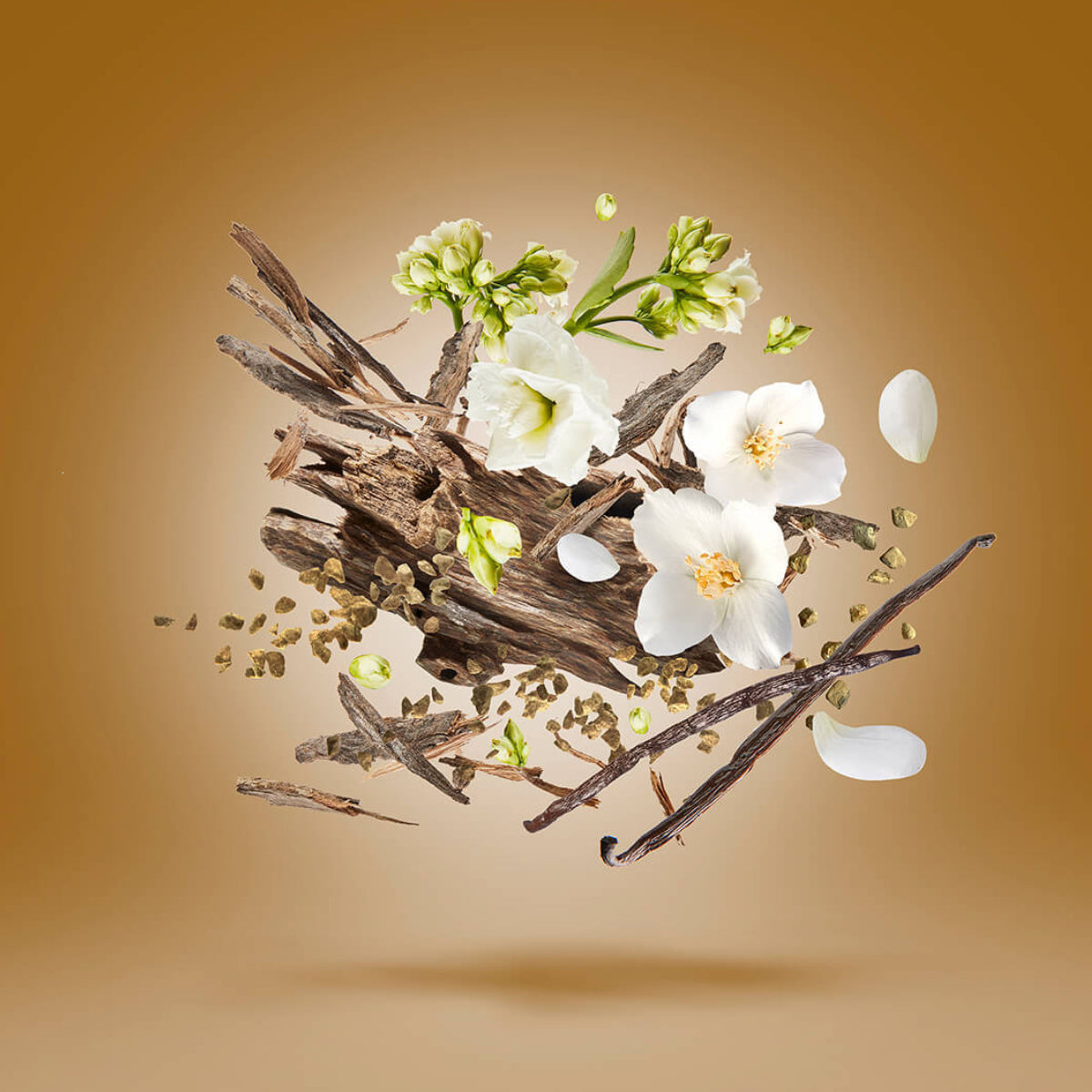 Xerjoff - Oud Stars - Al Khatt Komposition mit weißen Blüten, Holzstücken und warmem braunem Hintergrund schwebend dargestellt