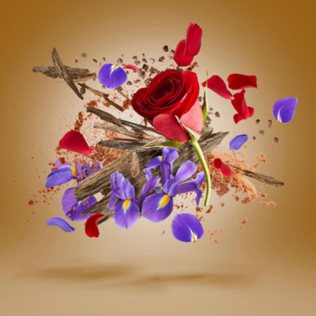 Xerjoff - Oud Stars - Alexandria Orientale mit Rosen- und Irisblüten, umgeben von Holz und orientalischen Noten vor beigem Hintergrund