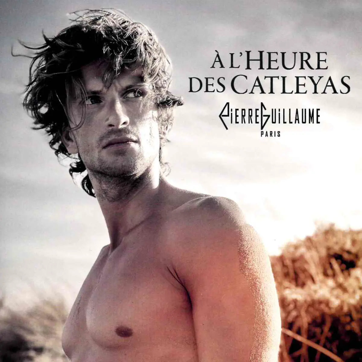 Pierre Guillaume - À l`heure des Catleyas No. 29.1