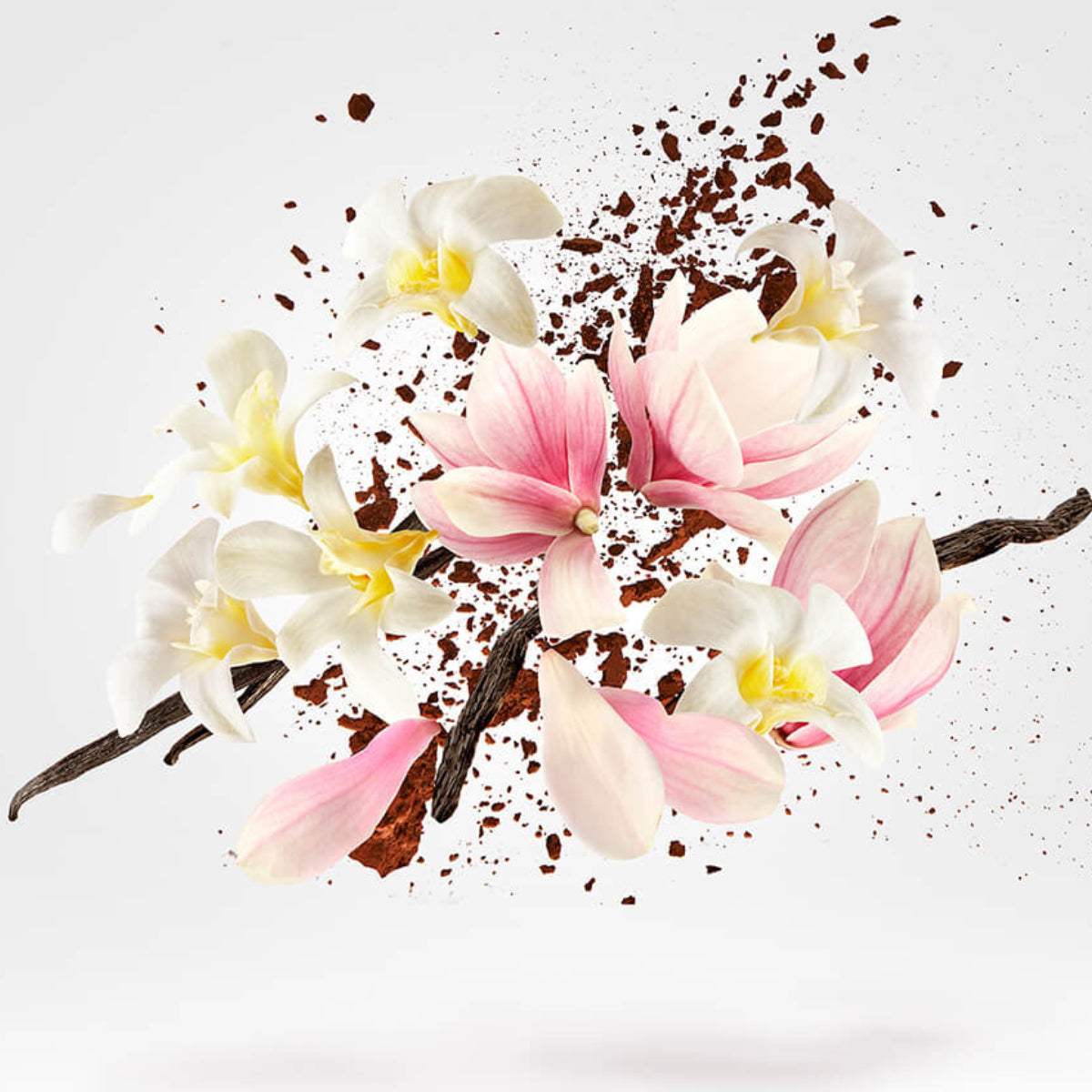 Xerjoff - Shooting Stars - Allende zeigt florale Komposition aus Magnolien, weißen Blüten und Vanilleschoten vor hellem Hintergrund