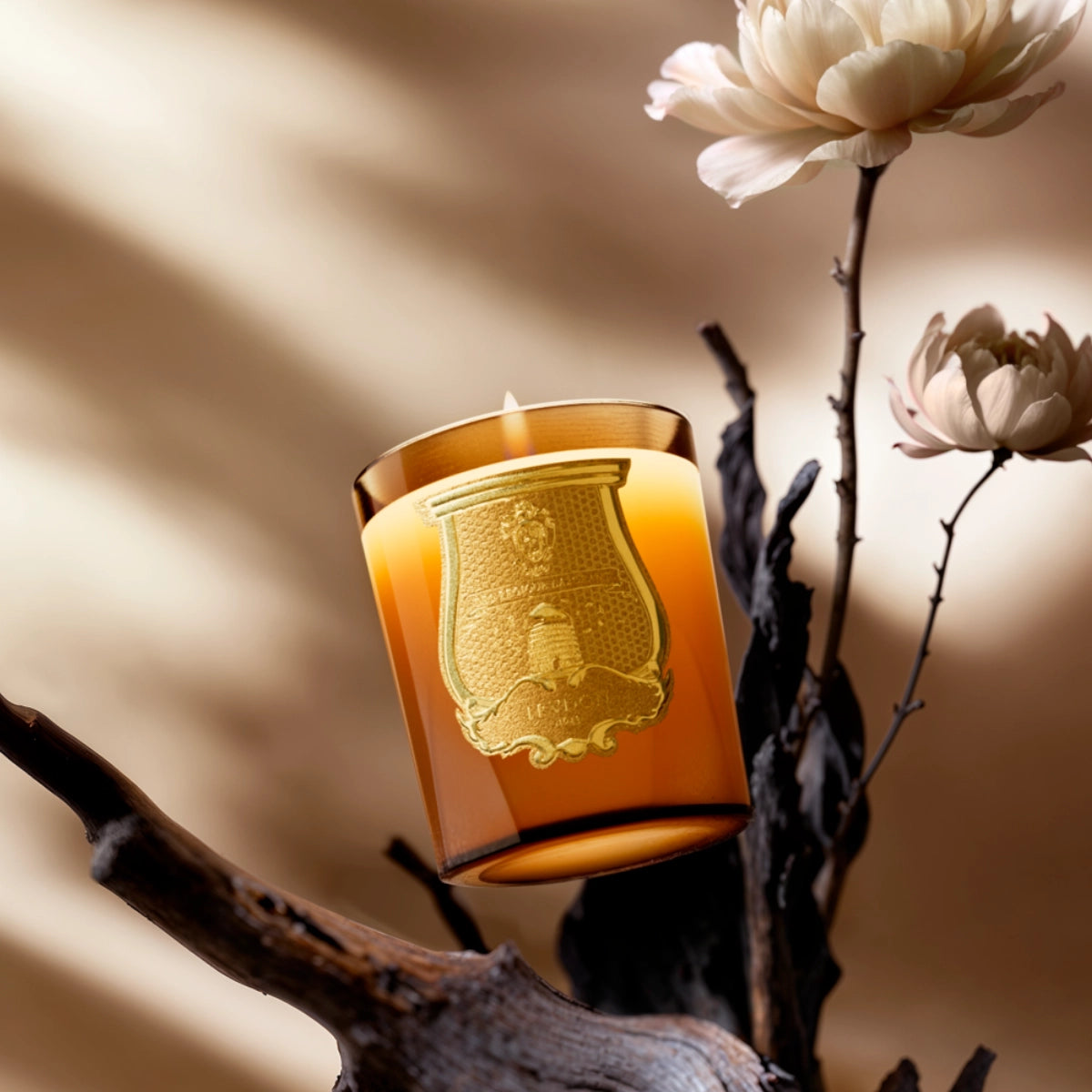 Trudon - Altaïr - Duftkerze im bernsteinfarbenen Glas mit elegantem goldfarbenem Wappen und warm-holzigem Charakter