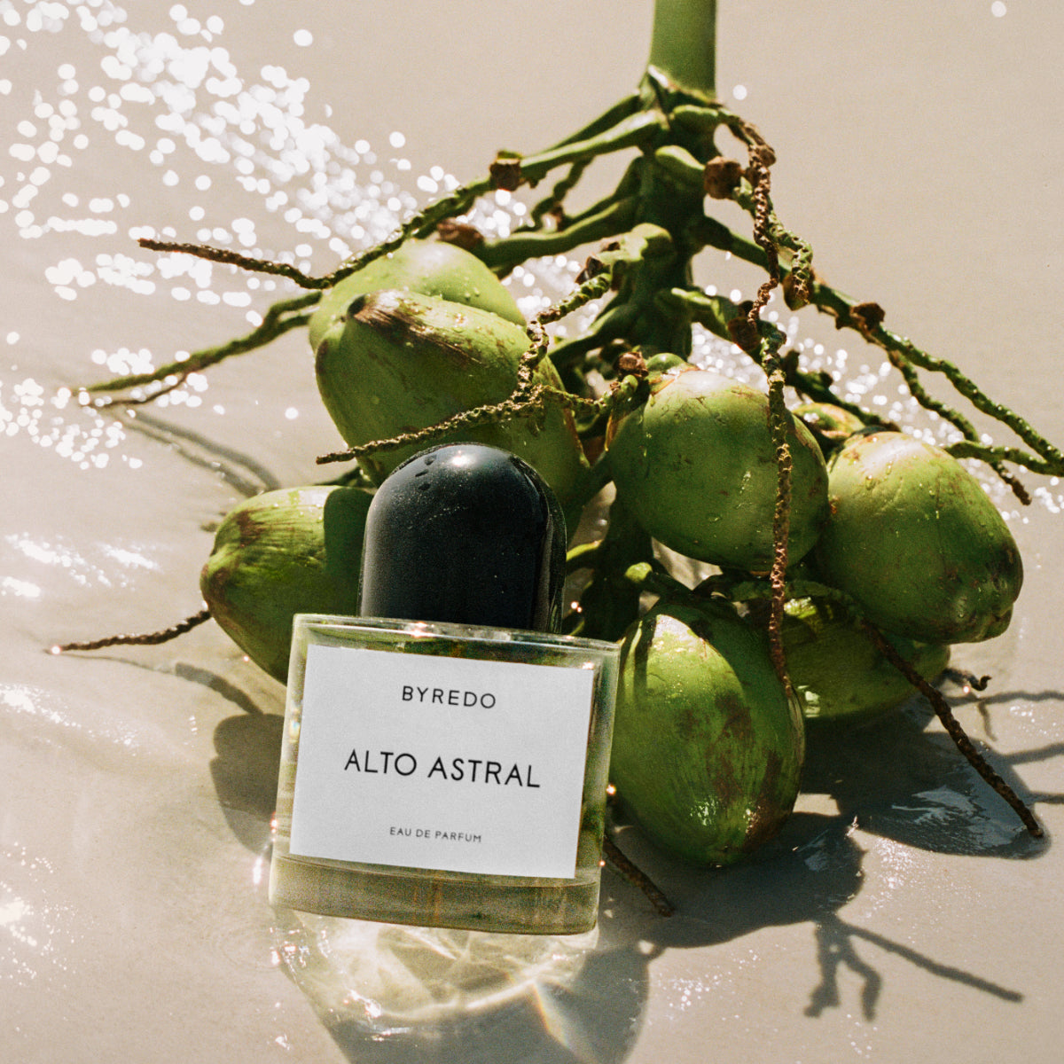Byredo - Alto Astral Parfumflakon mit schwarzem Verschluss vor grünen Kokosnüssen am Strand im Sonnenlicht