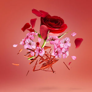 Xerjoff - Shooting Stars - Amber Gold & Rose Gold Darstellung von blühender Rose und zarten rosa Blüten auf rotem Hintergrund