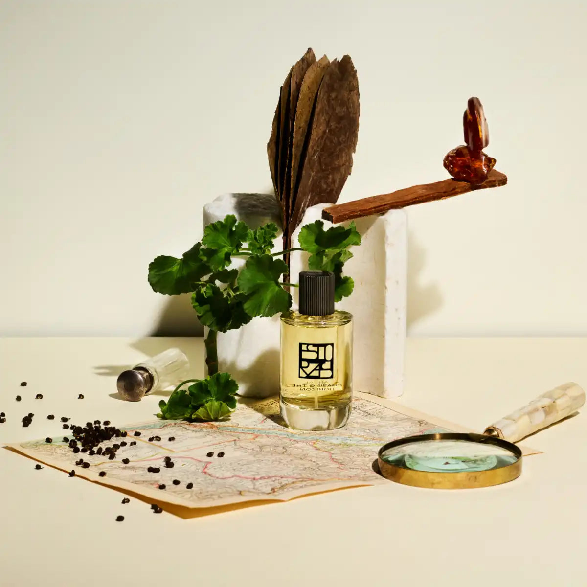 Estoras - Antal Parfumflakon auf Landkarte mit getrocknetem Blatt, grünen Blättern und lupe vor hellem Hintergrund