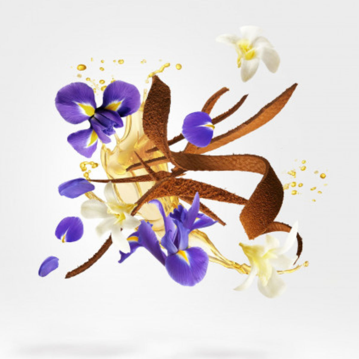 Xerjoff - K Collection - Aqua Regia mit Veilchenblüten, Zimtstangen und zarten weißen Blüten in Anordnung