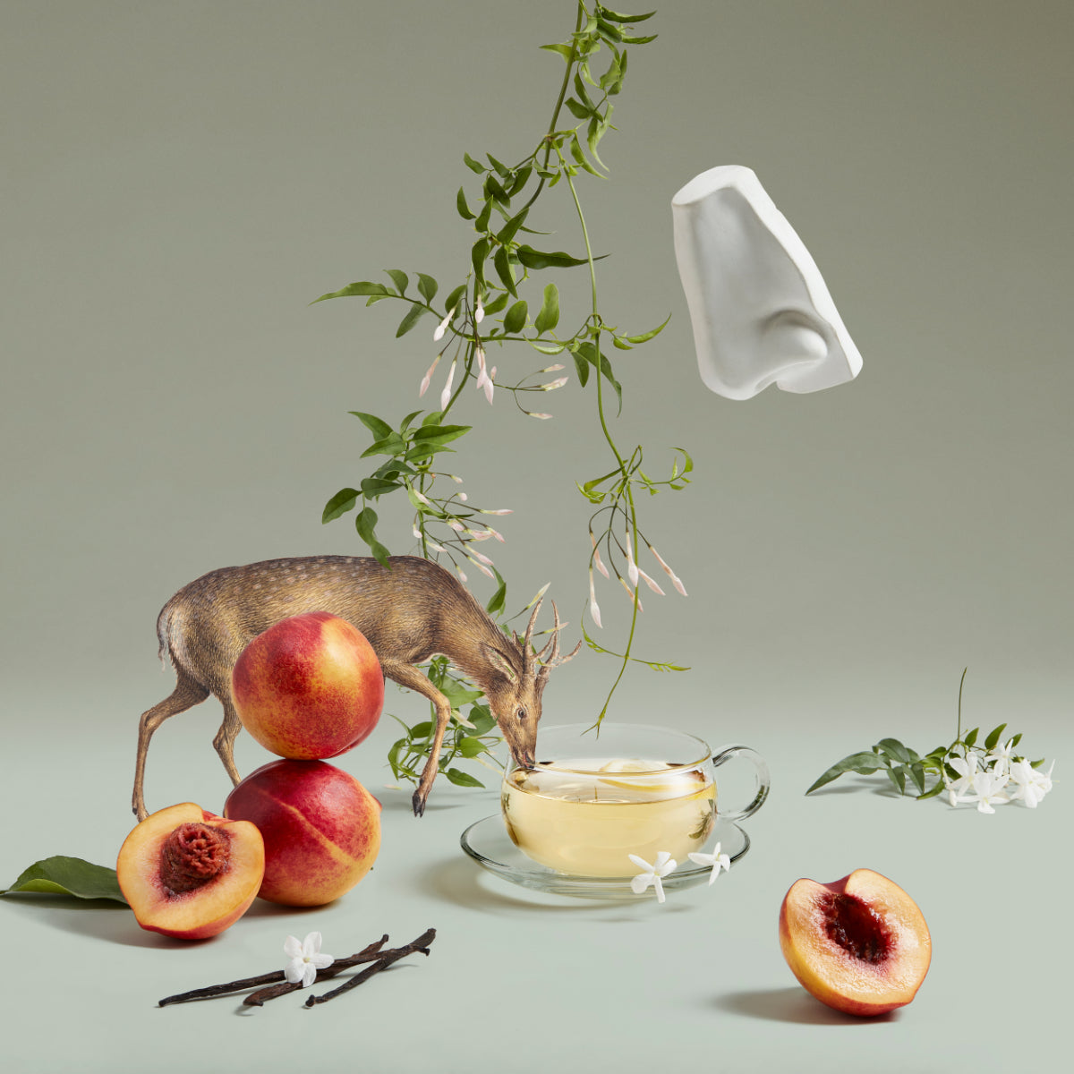 Surreal composition with peaches, a deer, hanging greenery, white flowers, vanilla pods, tea cup, and floating ear sculpture on gray background