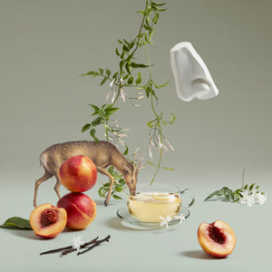 Surreal composition with peaches, a deer, hanging greenery, white flowers, vanilla pods, tea cup, and floating ear sculpture on gray background
