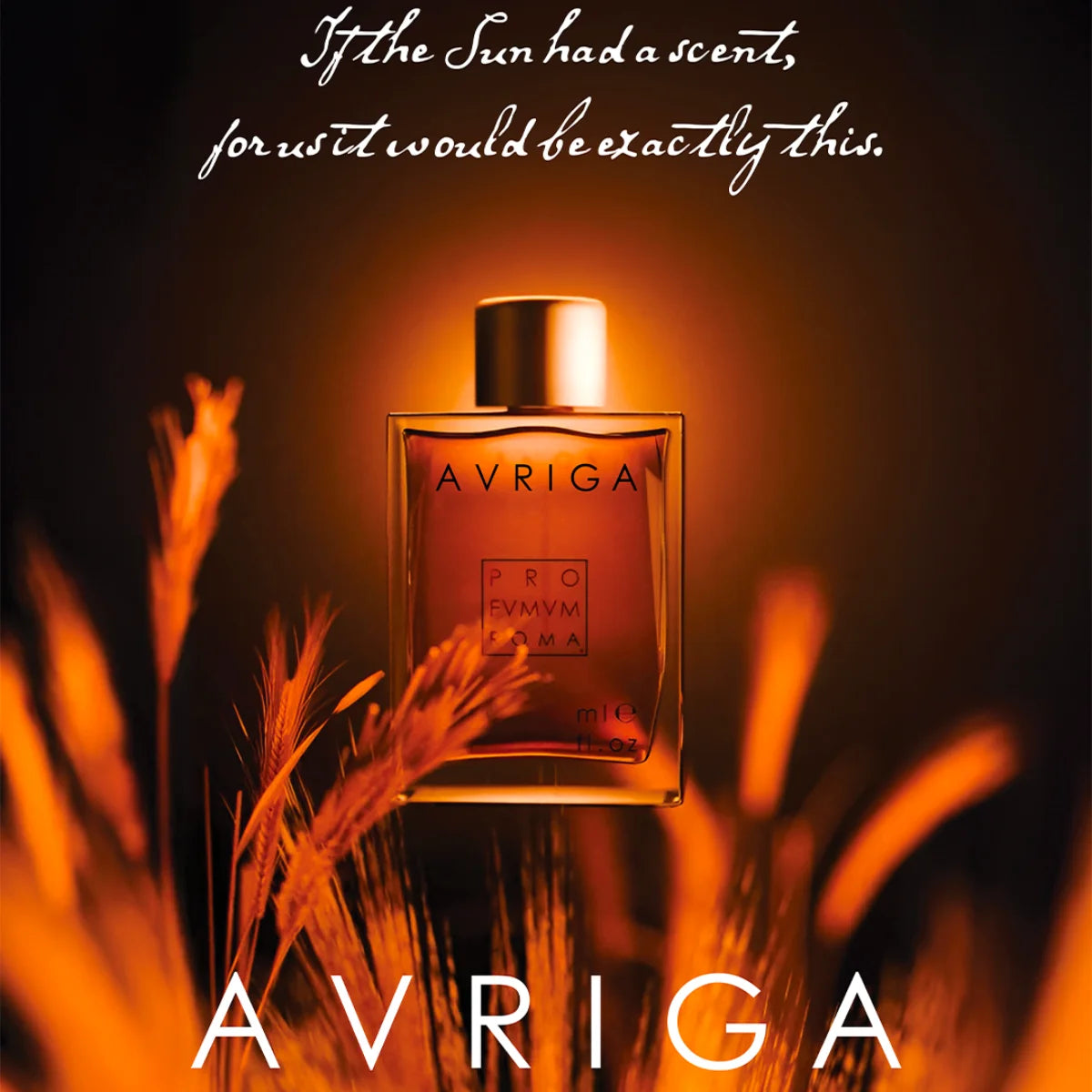 Profumum Roma - Auriga