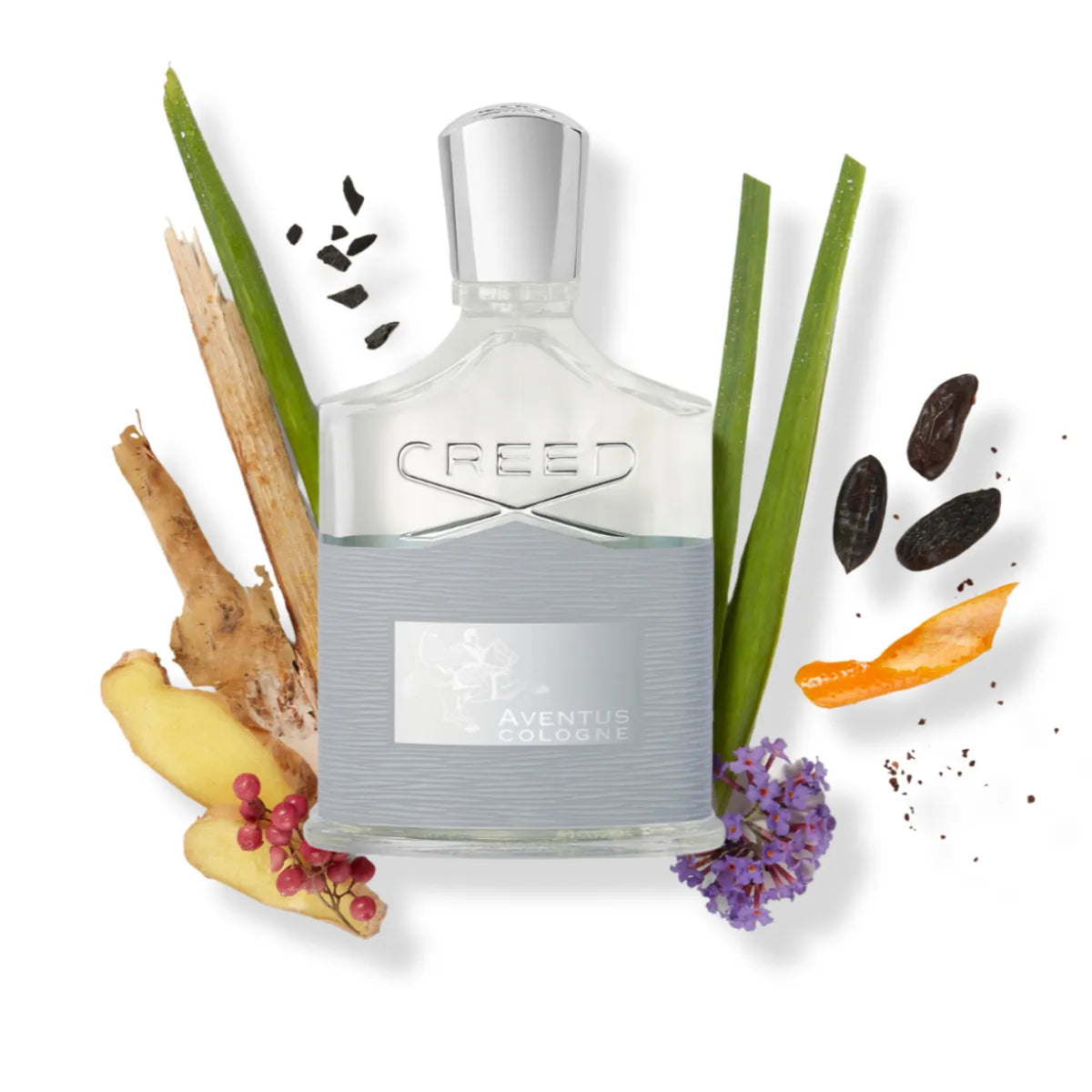 Creed - Aventus Cologne Flakon mit klarem Glas und hellblauem Etikett umgeben von natürlichen Duftnoten