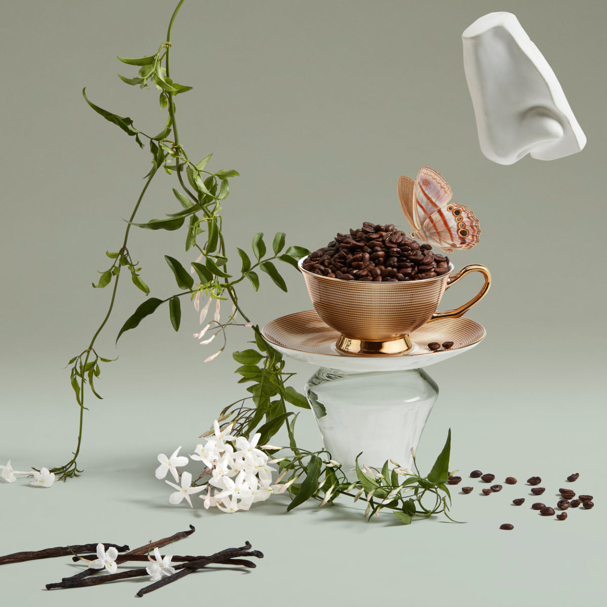 Penhaligon's - Portraits - Bewitching Yasmine mit Kaffeebohnen in goldener Tasse neben weißen Blüten und Schmetterling