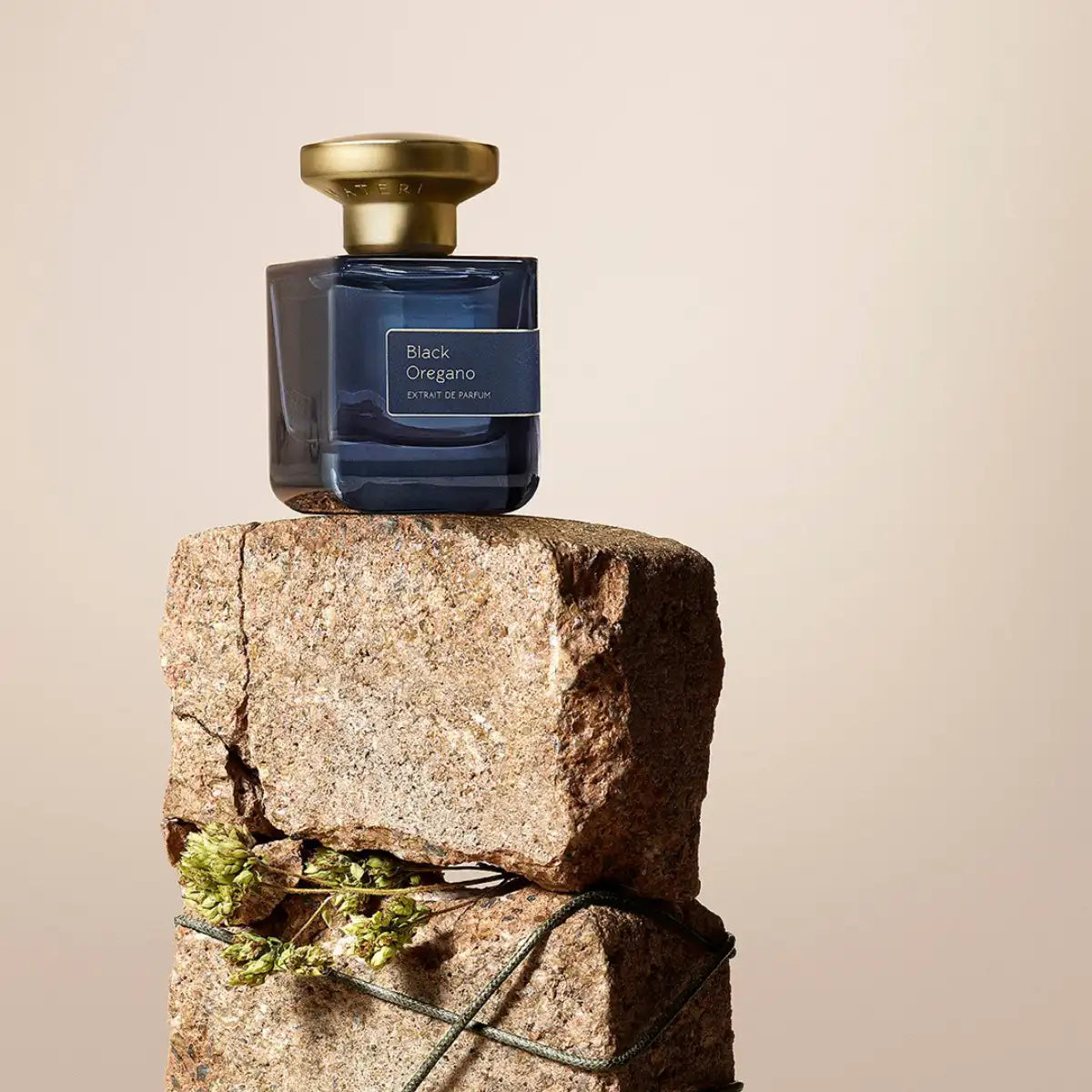 Atelier Materi - Black Oregano zeigt dunkelblauen Flakon mit goldenem Verschluss auf grobem Stein und getrockneten Kräutern