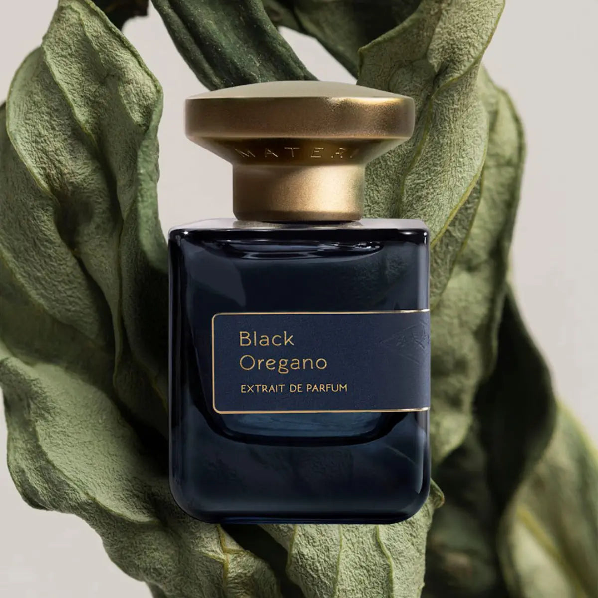 Atelier Materi - Black Oregano zeigt eleganten dunkelblauen Flakon mit goldenem Verschluss vor getrockneten Blättern