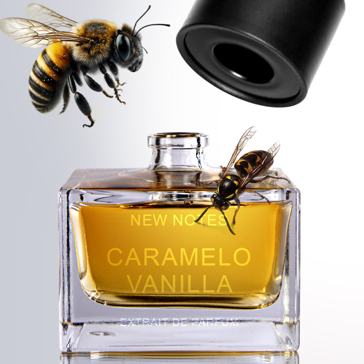 New Notes - Contemporary Blend Collection - Caramelo Vanilla Parfumflakon mit goldgelbem Duft und Insekten vor hellem Hintergrund
