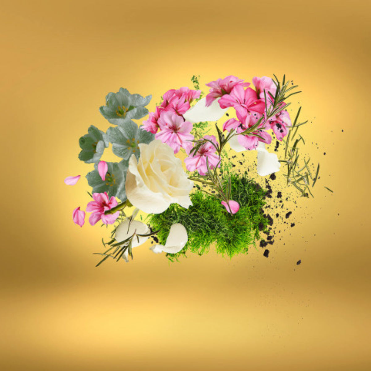Xerjoff - Casamorati 1888 - Casa Futura florale Komposition mit Rose, grünen Blättern und Farbakzenten vor goldfarbenem Hintergrund