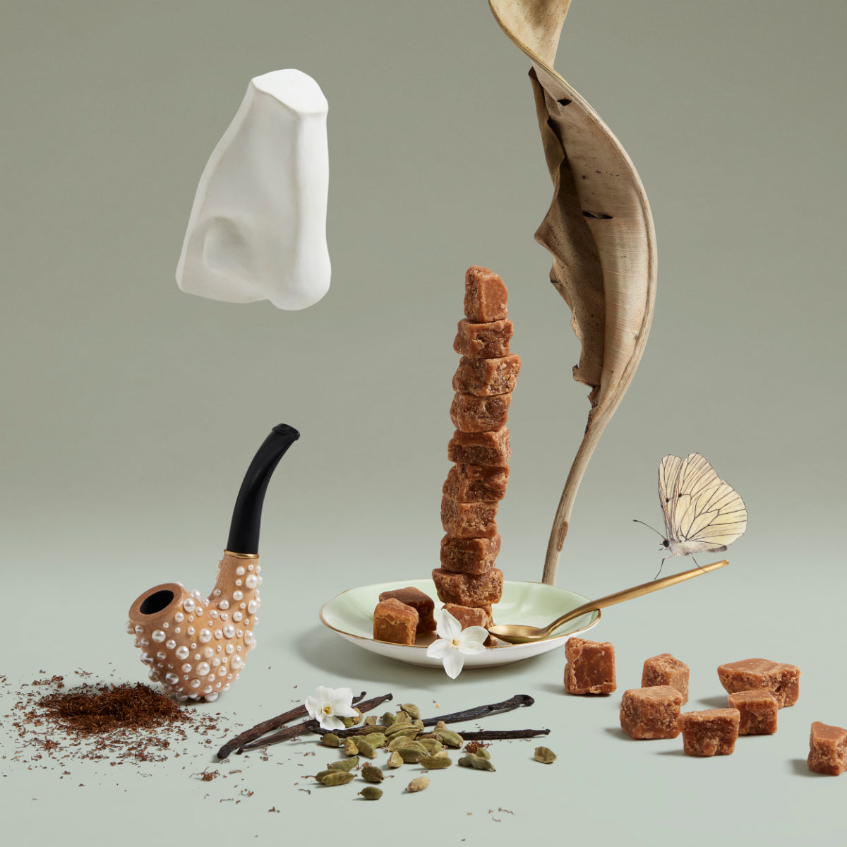 Penhaligon's - Portraits - Changing Constance Arrangement mit Tabakpfeife, Gewürzen, zartem Schmetterling und getrocknetem Blatt vor neutralem Hintergrund
