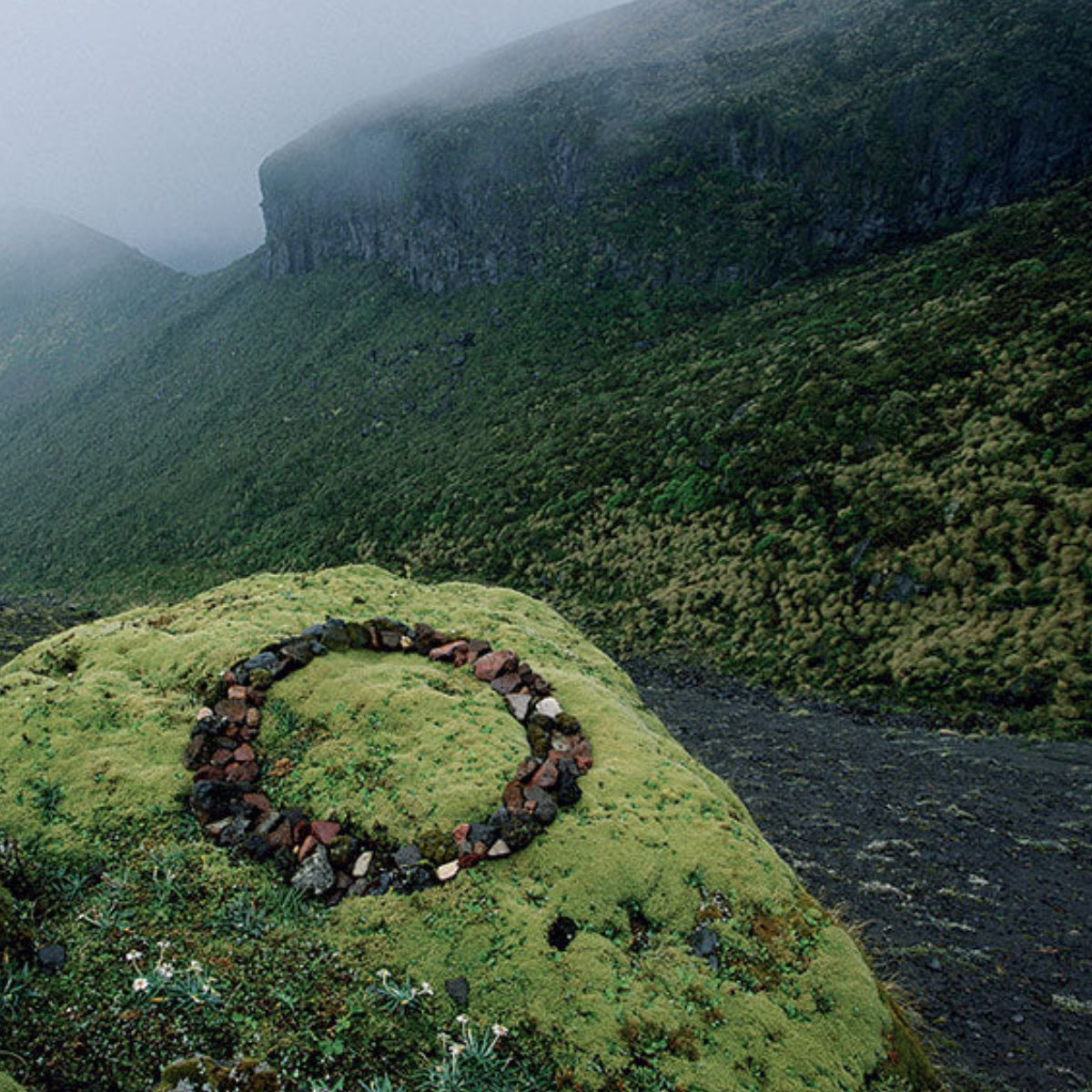 Olfactive Studio - Collection Sepia - Chypre Shot natürliche Landschaft mit moosbedecktem Hügel und Steinkreis im Nebel