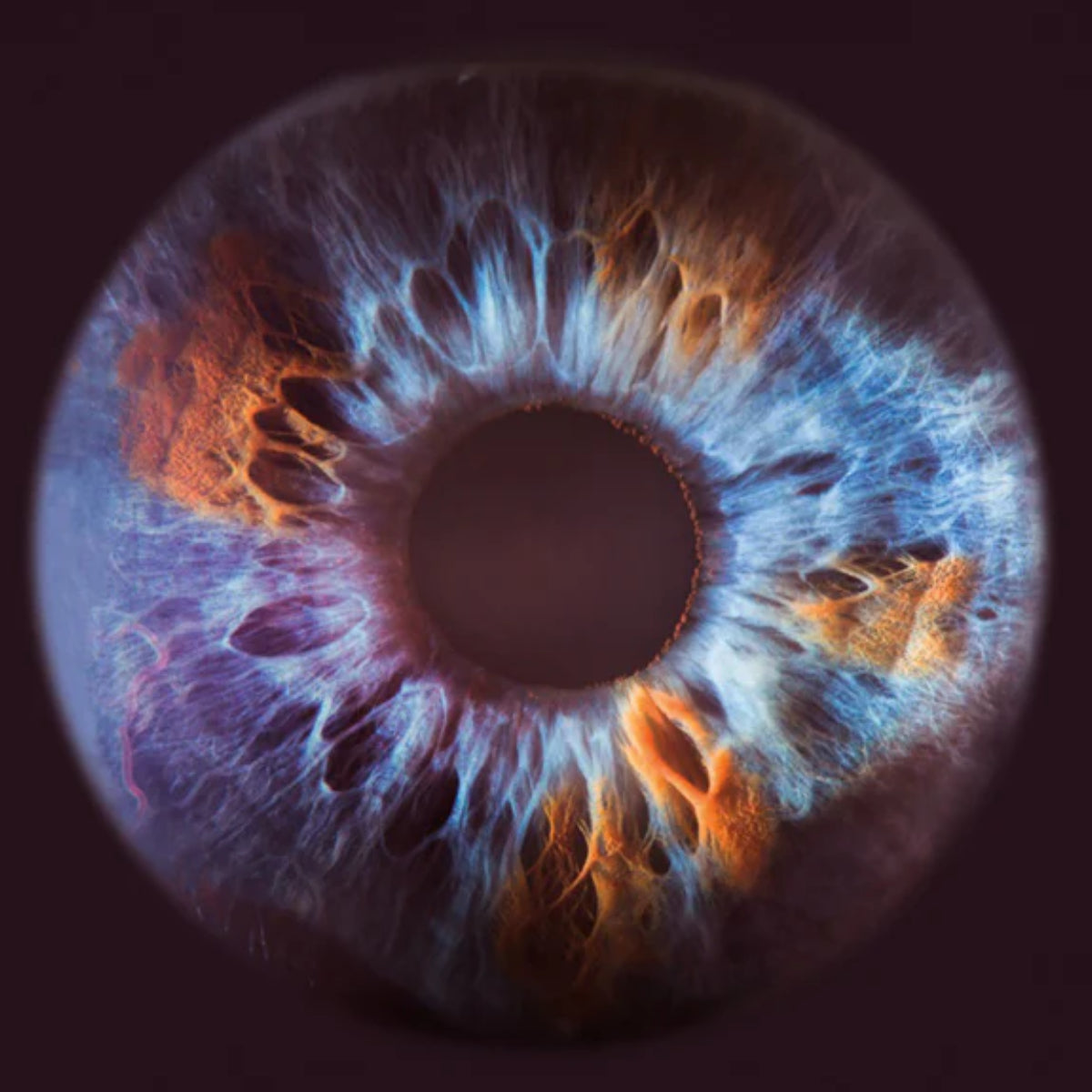 Olfactive Studio - Close Up Nahaufnahme eines farbintensiven menschlichen Auges mit leuchtenden Blau- und Orangetönen