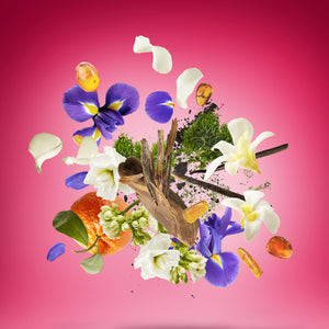 Xerjoff - Vibe - Coro Komposition aus frischen Blüten, Holz, Vanilleschoten und Zitrusfrüchten vor rosa Hintergrund