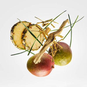 Xerjoff - Shooting Stars - Cruz del Sur II Komposition aus Mango, Ananas und exotischen Naturmaterialien elegant inszeniert