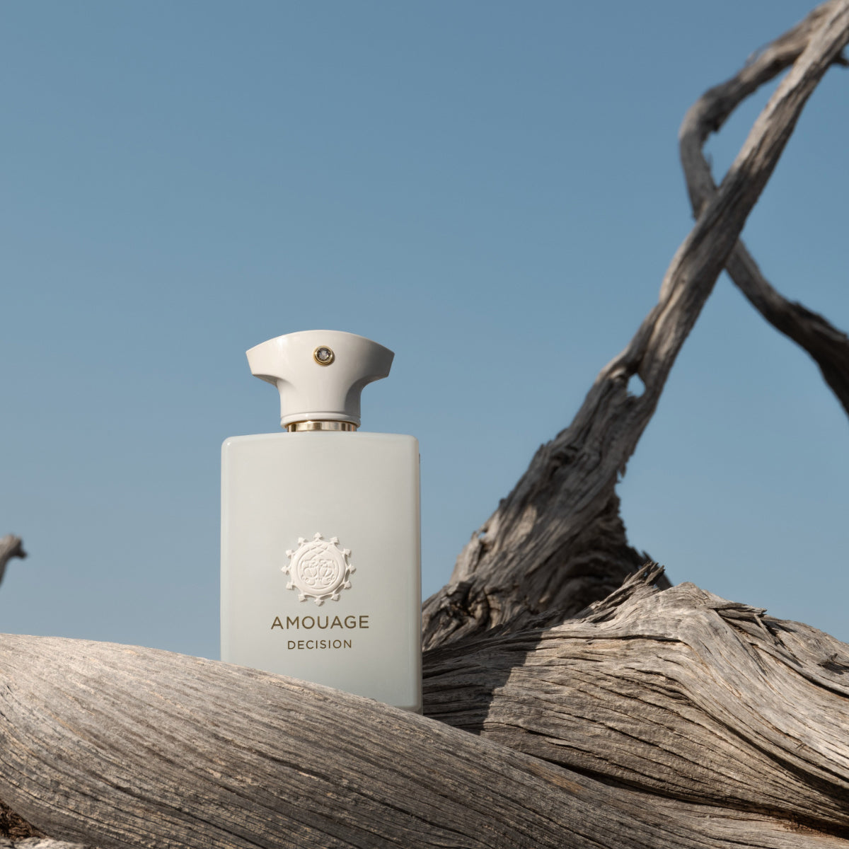 Amouage - Decision Flakon in elegantem Weiß mit goldenem Logo auf getrocknetem Holz vor klarem Himmel