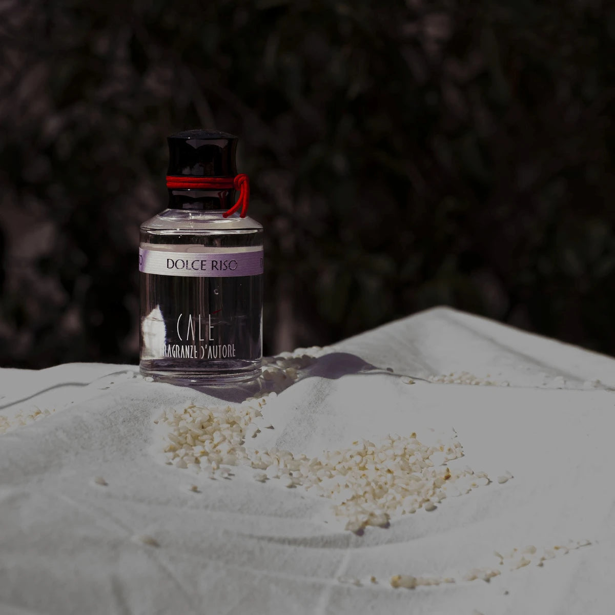 Calé Fragranze d'Autore - Dolce Riso Flakon mit schwarzem Verschluss und rotem Band auf weißem Tuch mit Reisstreuung