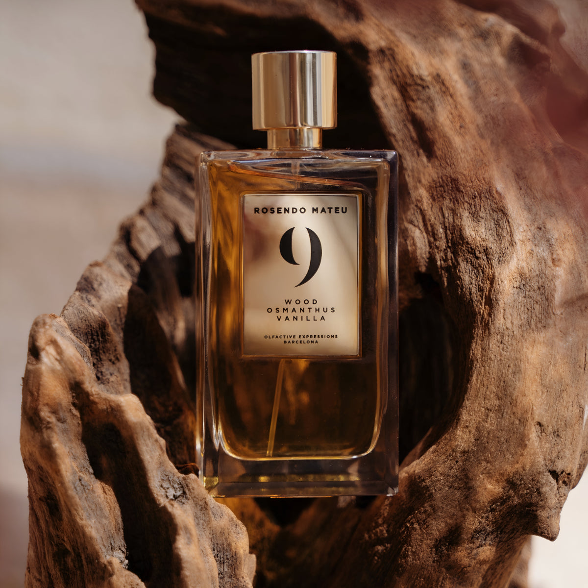 Rosendo Mateu - Olfactive Expressions - Nº 9 Duftflakon mit goldenem Verschluss in natürlichem Holzhintergrund