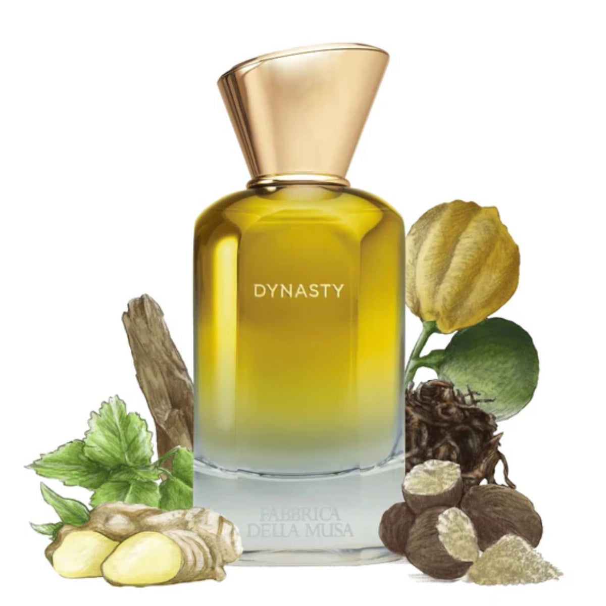 Fabbrica della Musa - Dynasty Parfumflakon mit goldfarbenem Verschluss und gelblich verlaufendem Glas vor weißem Hintergrund