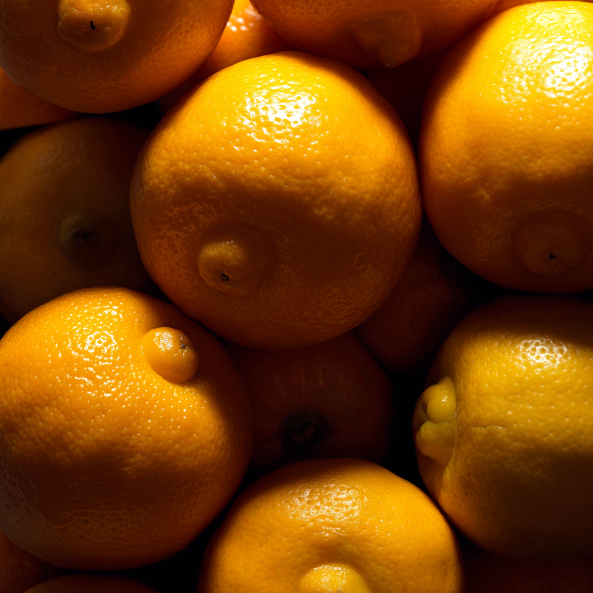 Marie Jeanne - Elisa Nahaufnahme von leuchtend gelben Yuzu-Früchten mit strukturierter, glänzender Oberfläche