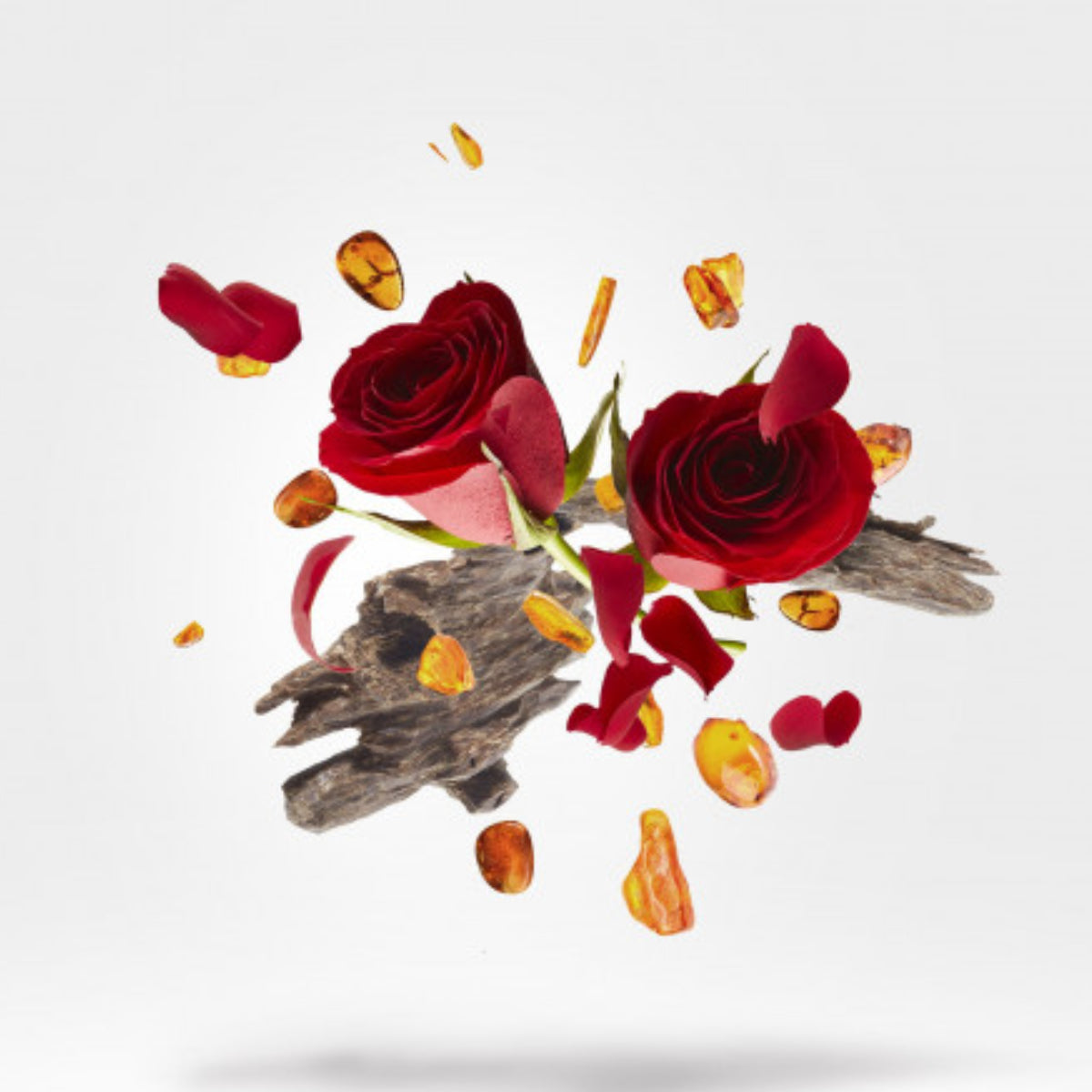 Xerjoff - K Collection - Elixir - Parfum Extrakt zeigt rote Rosen und bernsteinfarbene Harzstücke auf Holzstücken schweben