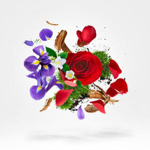 Xerjoff - XJ 17/17 - Stone Label - Elle florale Komposition aus Rose, Veilchen und holzigen Elementen vor hellem Hintergrund