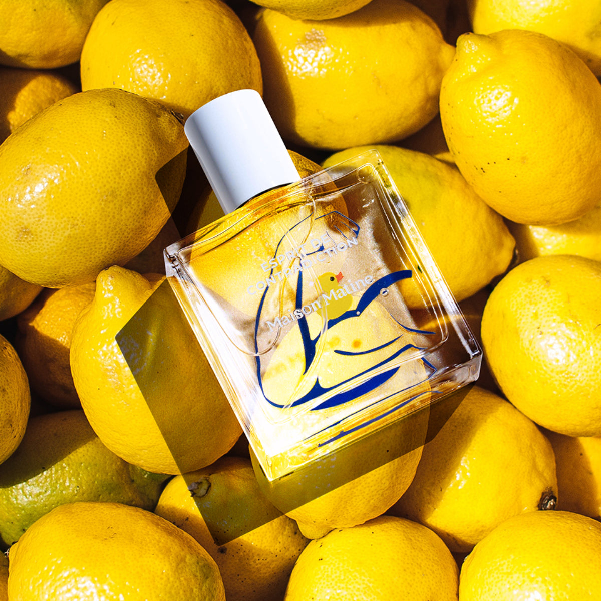 Maison Matine - Esprit de Contradiction Parfumflakon mit weißem Verschluss und abstrakter gelber Illustration auf Zitronenhintergrund