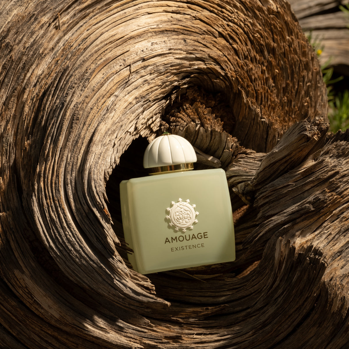 Amouage - Existence Parfumflakon in sanftem Creme mit goldener Prägung eingebettet in verwittertes Holz