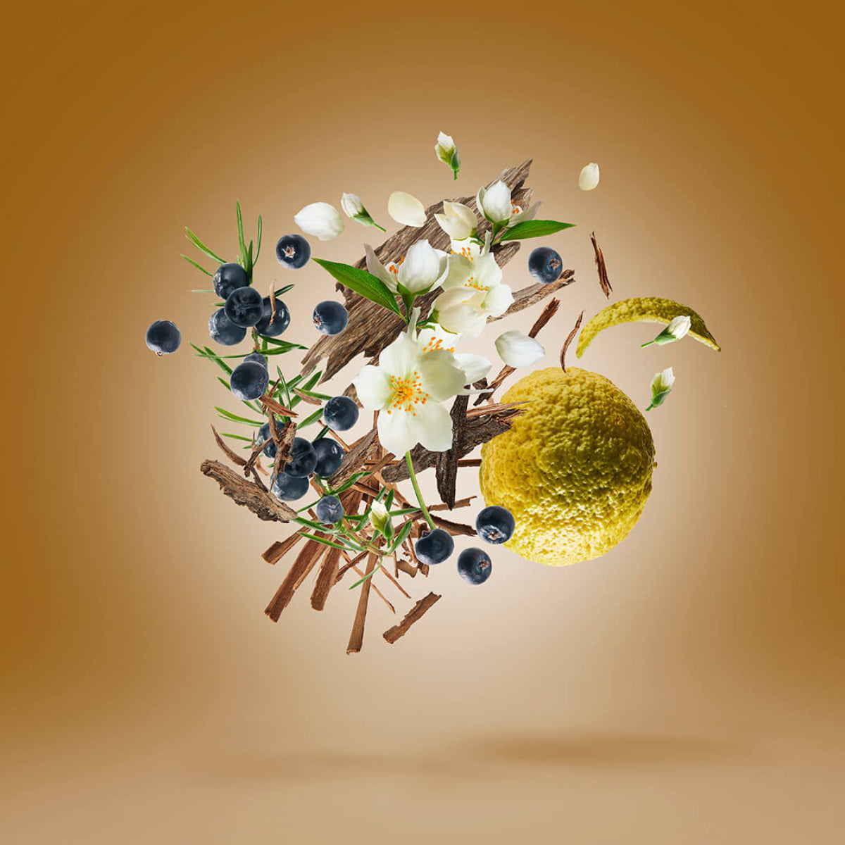 Xerjoff - Oud Stars - Fars Komposition aus Zitrus, blühenden weißen Blüten und holzigen Elementen vor braunem Hintergrund