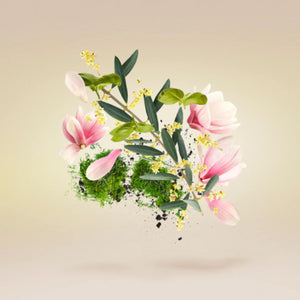 Xerjoff - Casamorati 1888 - Fiore D'Ulivo 30 ML mit zarten rosa Blüten und frischem Olivenblatt-Motiv vor hellem Hintergrund