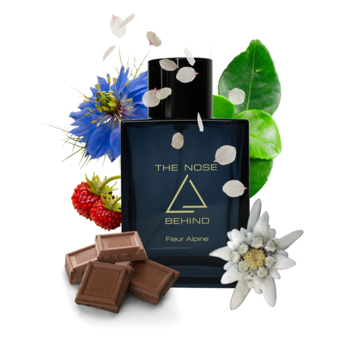 The Nose Behind - Fleur Alpine Parfumflakon in dunklem Glas mit goldener Schrift und floralen sowie schokoladigen Akzenten