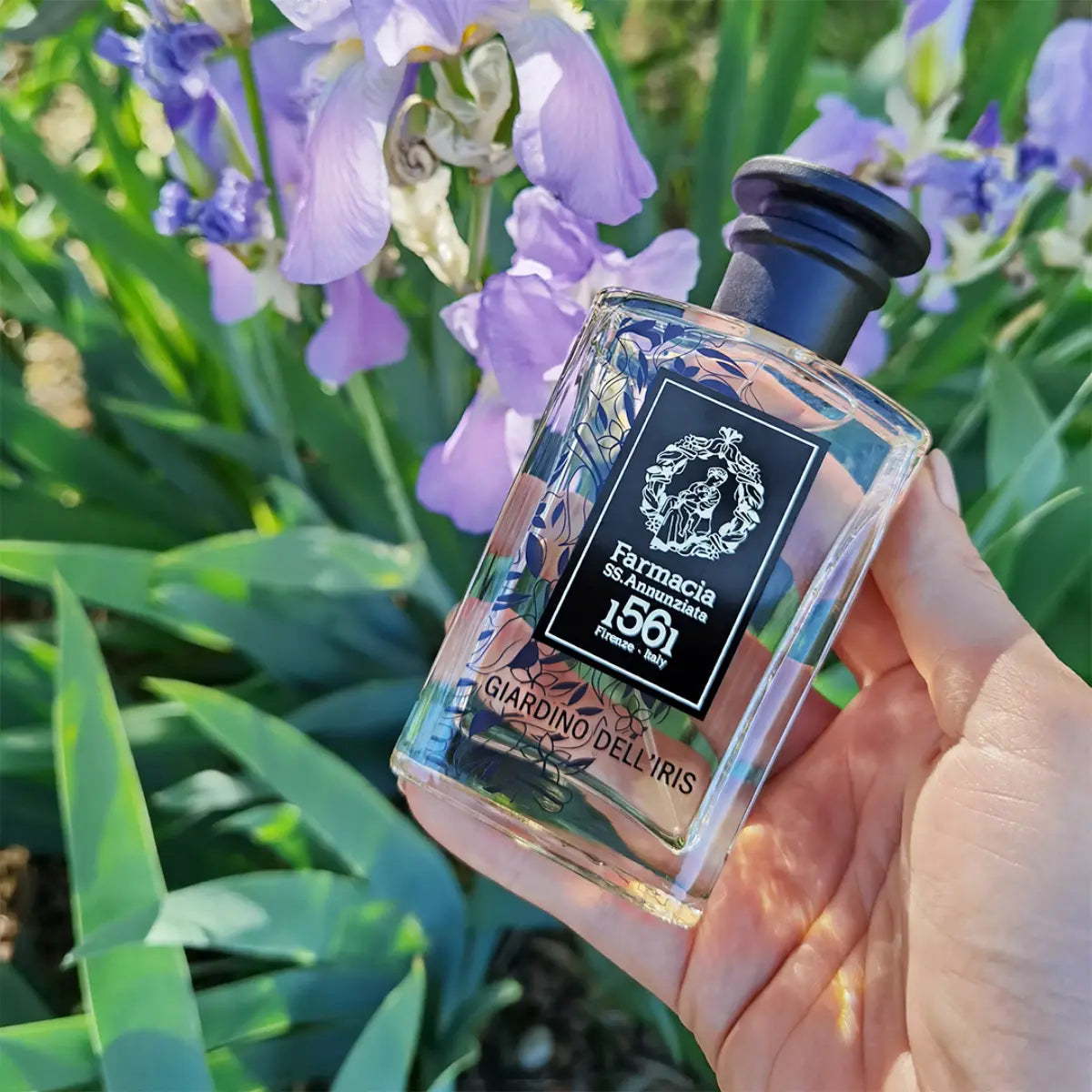 Farmacia SS. Annunziata - Giardino dell'Iris Duftflakon vor lila Schwertlilien im Sonnenlicht gehalten