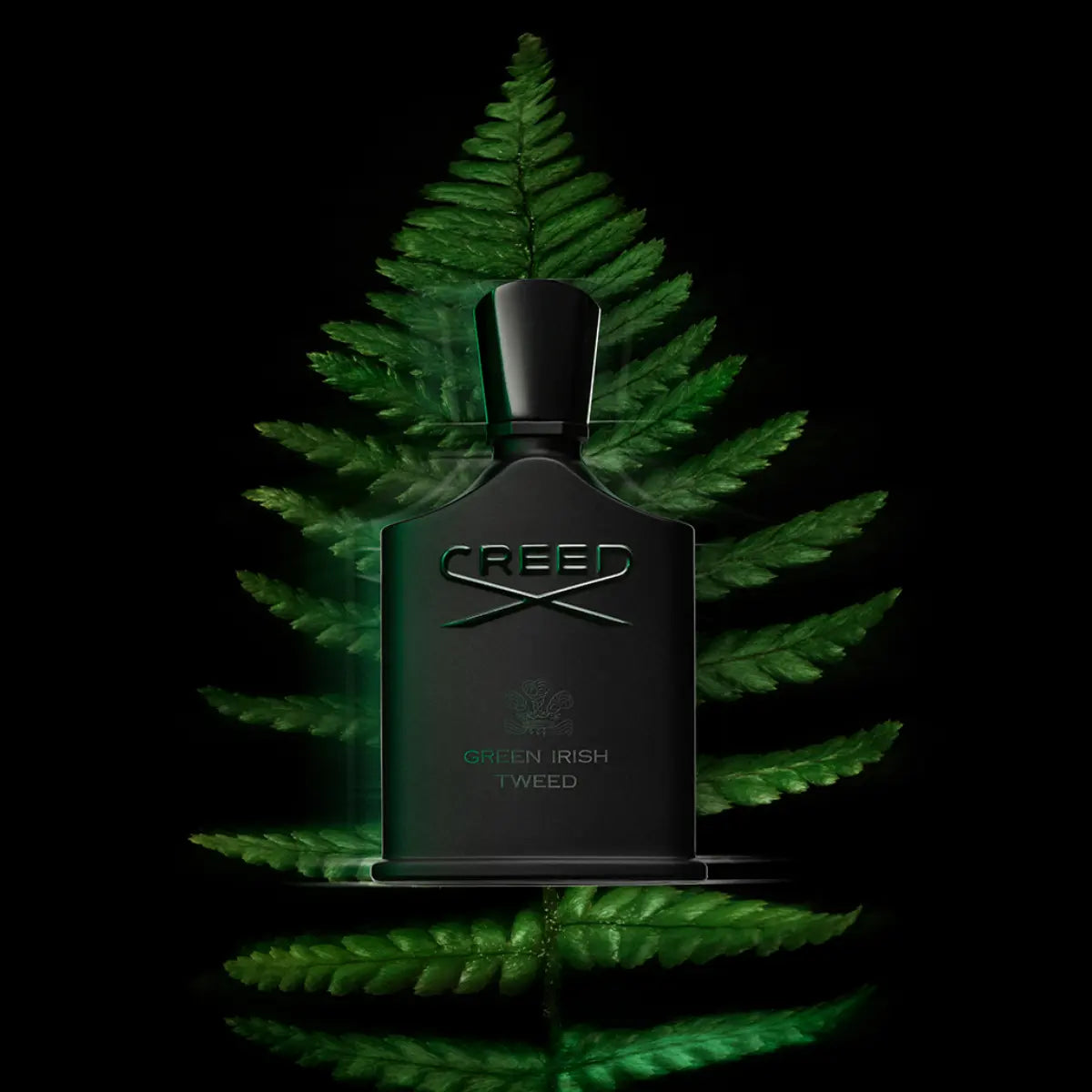 Creed - Green Irish Tweed Parfumflakon mit mattschwarzem Design vor grünem Farnblatt auf schwarzem Hintergrund
