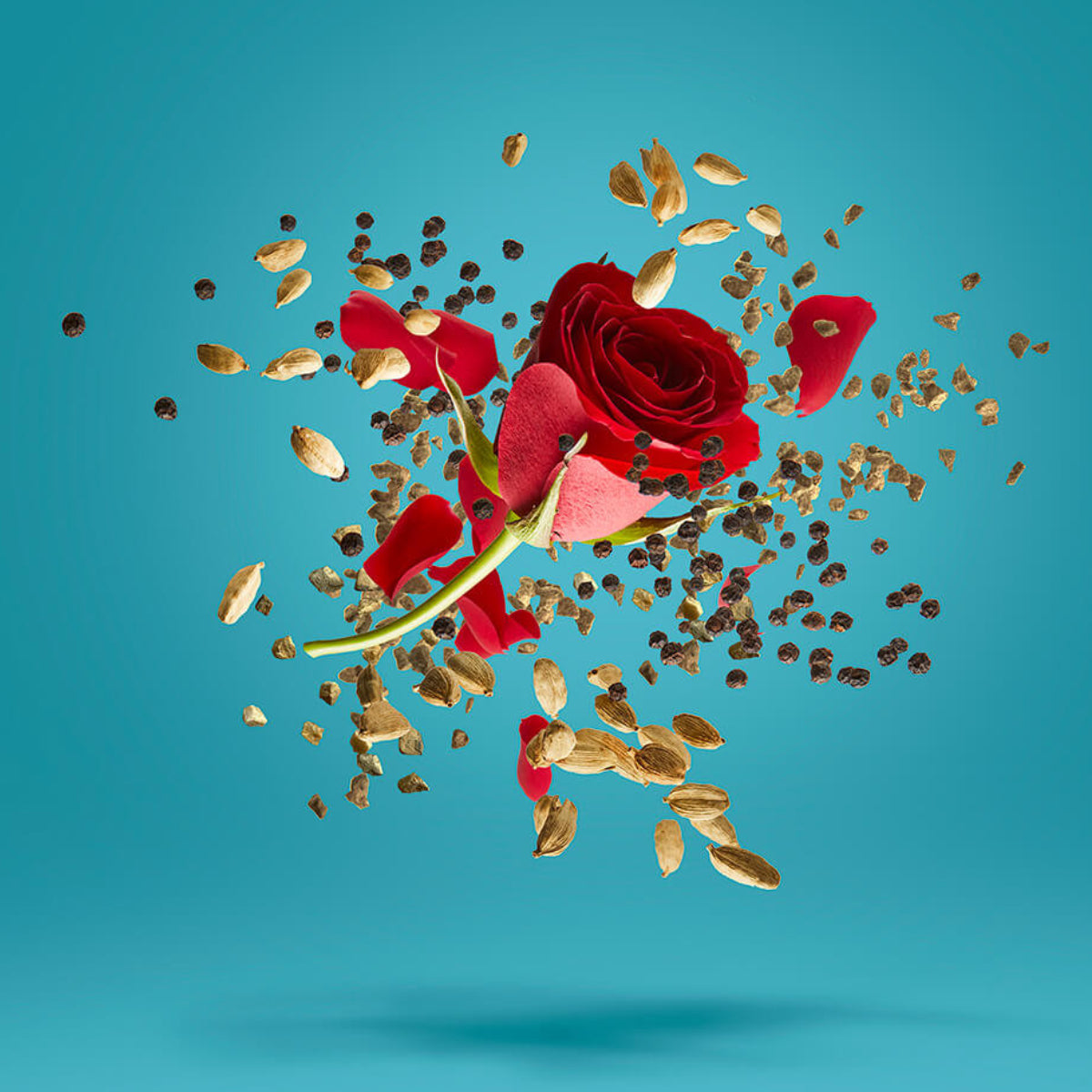 Xerjoff - Blends - Groove Xcape zeigt rote Rosenblüte mit Gewürzen auf klarem blauem Hintergrund, elegant inszeniert