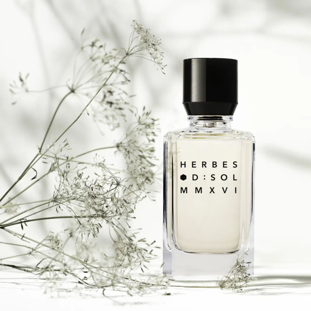 D:SOL MMXVI - Herbes klarer Flakon mit schwarzem Verschluss und zarter Kräuter-Dekoration im Hintergrund