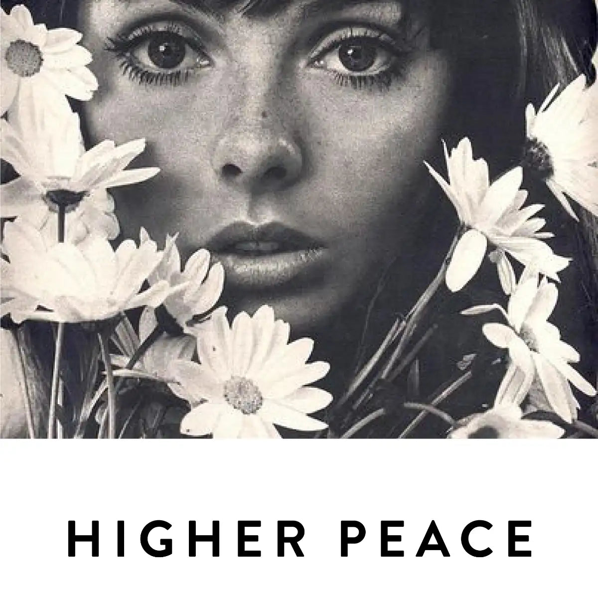 19-69 - Higher Peace Gesicht einer Frau im Retro-Stil umgeben von Gänseblümchen in Schwarzweiß mit Schriftzug darunter